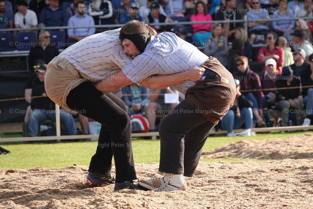 DSC04432 | Schwingen - Realisiert mit Pictrs.com