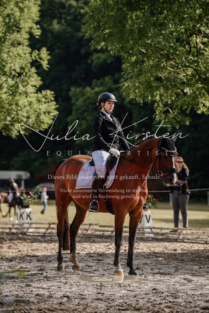 DSC_9003 | Pferde- und Turnierfotografie in Westsachsen. Pferdeportraits, Auftragszeichnungen und intuitive Kunst.