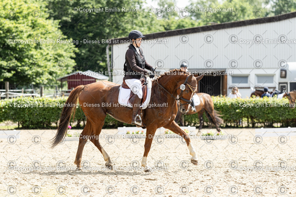 CL5A8022 | Emilia Reinking Fotografie - Realisiert mit Pictrs.com