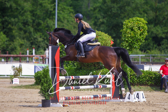 DKP41433 | Turniersportfotografie; Pferdefotografie; Dressurfotografie