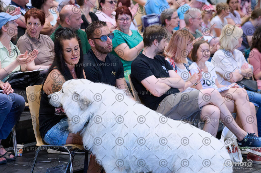 202406_ÖKV-IHA-Tulln24_DSC_3503 | proPHOTO - Realisiert mit Pictrs.com