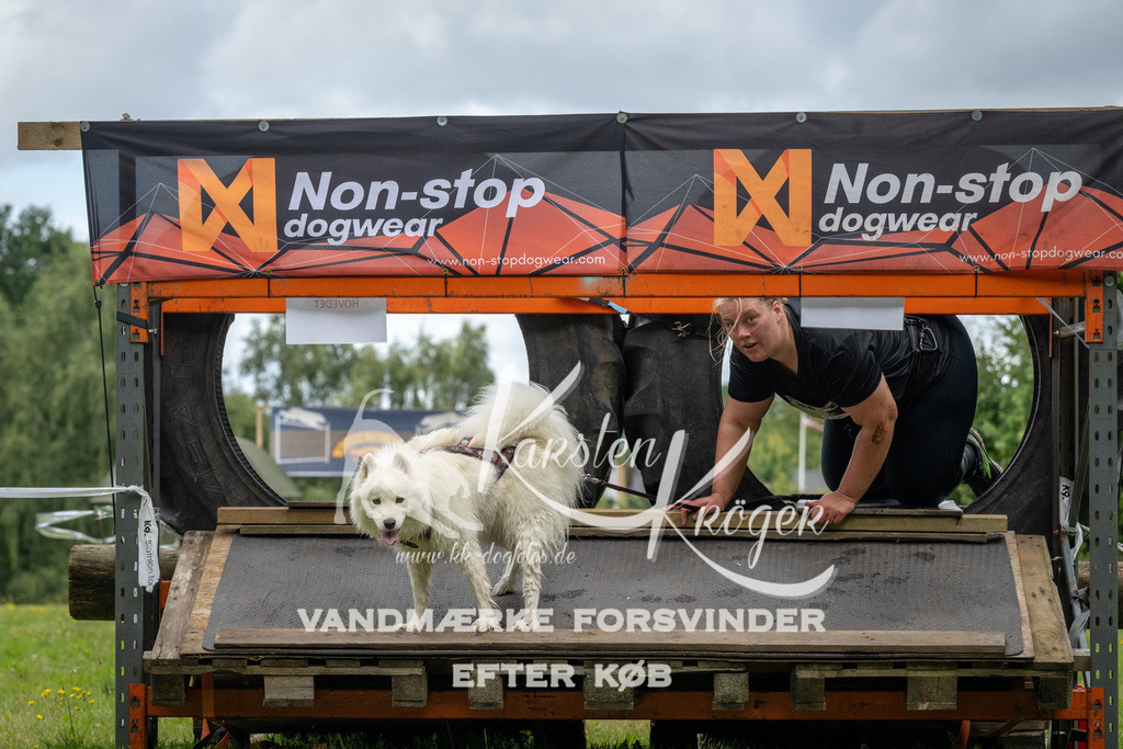 1403_ZZ90751 | kk-dogfotos