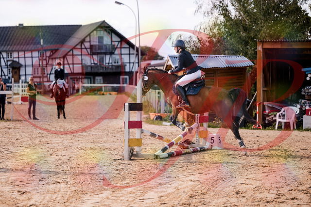2026_10_03_Siefer-Hof_145727_Z81_39145991 | Professionelle Reitsport-, Turnier- und Eventfotografie von Robert Broda. Galerien mit ausgewählten und bearbeiteten Bildern direkt online ansehen und bestellen.