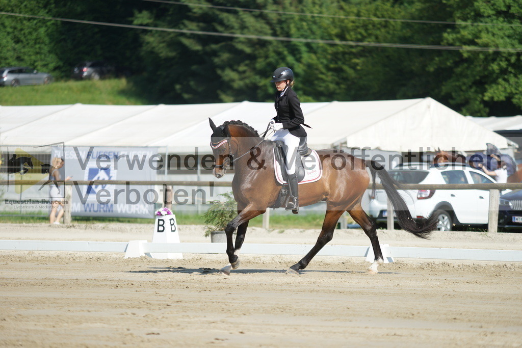 DSC03967 | equestrian-live-com