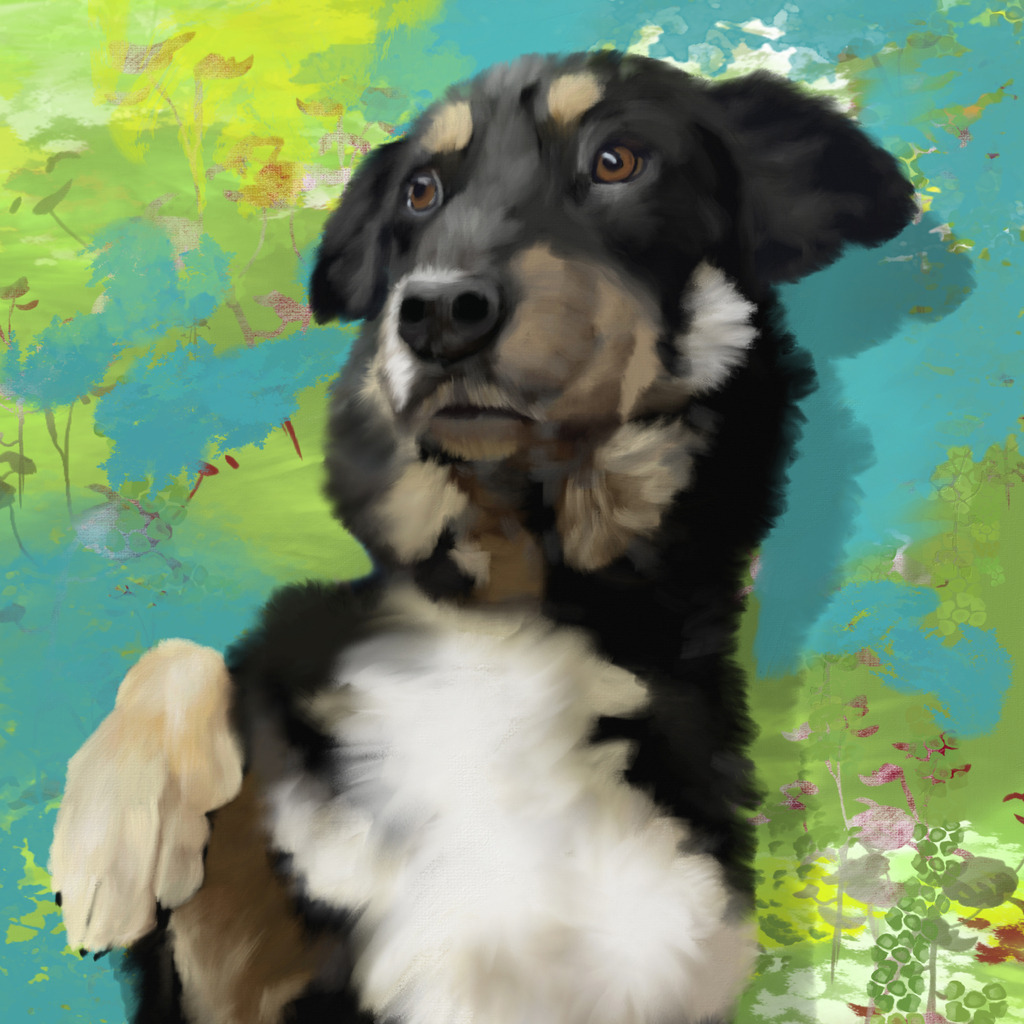 Justus | Illustrationen, digitalpainting, animals, dogs, hunde, art, Kunst, Illustrationsart, Bielefeld, Germany - Realisiert mit Pictrs.com