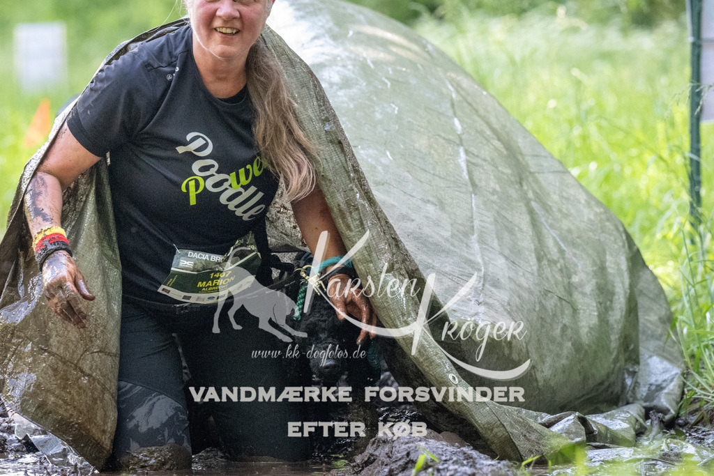 1153_ZZ90050 | kk-dogfotos