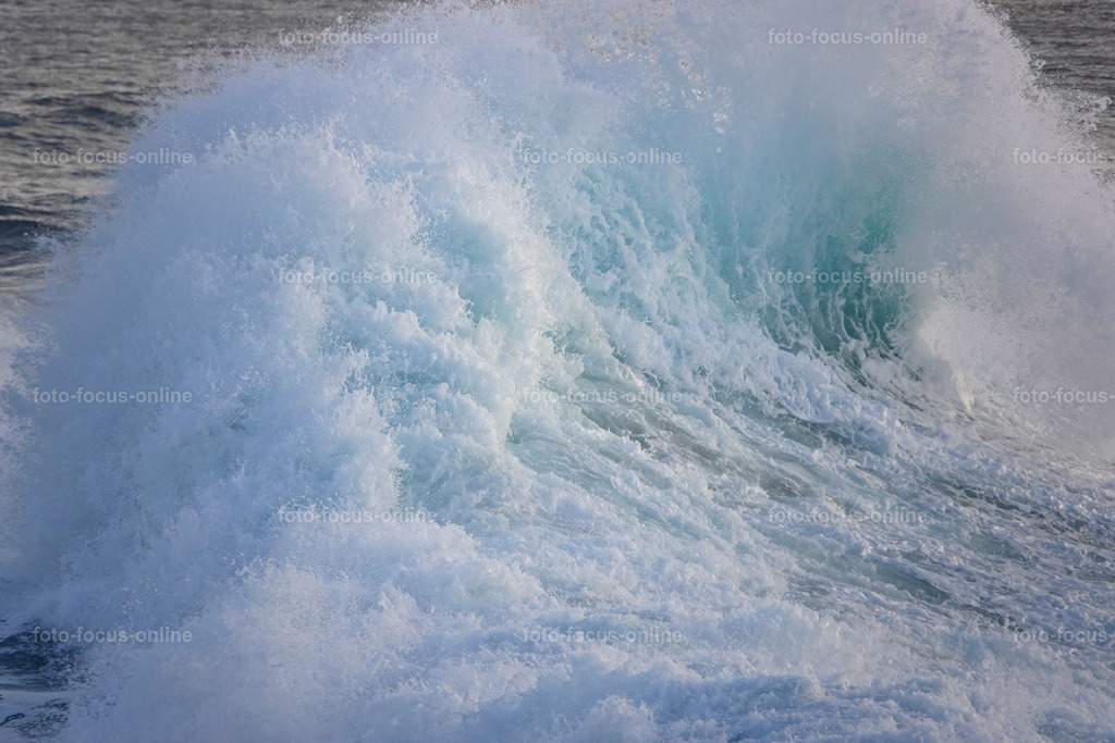 Wild Waves | Wild Waves Atlantic