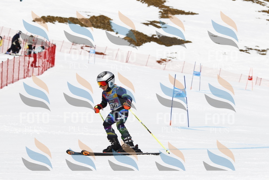 _U3G6013 | holidayphoto