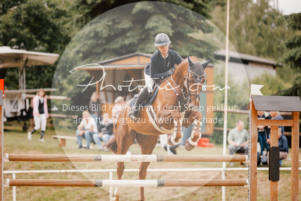 3I6A2473 | Stimmungsvolle Portraits und Reitsportfotografie im Ruhrgebiet und im Münsterland.

Pferdefotografie, Hundefotografie, Tierfotografie, Reportagen, Portraits von Tier und Mensch, Turnierfotografie in Bochum, Recklinghausen, Marl, Haltern am See, Dülmen.. - Realisiert mit Pictrs.com