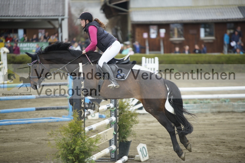 _DSC7913 | equestrian-live-com