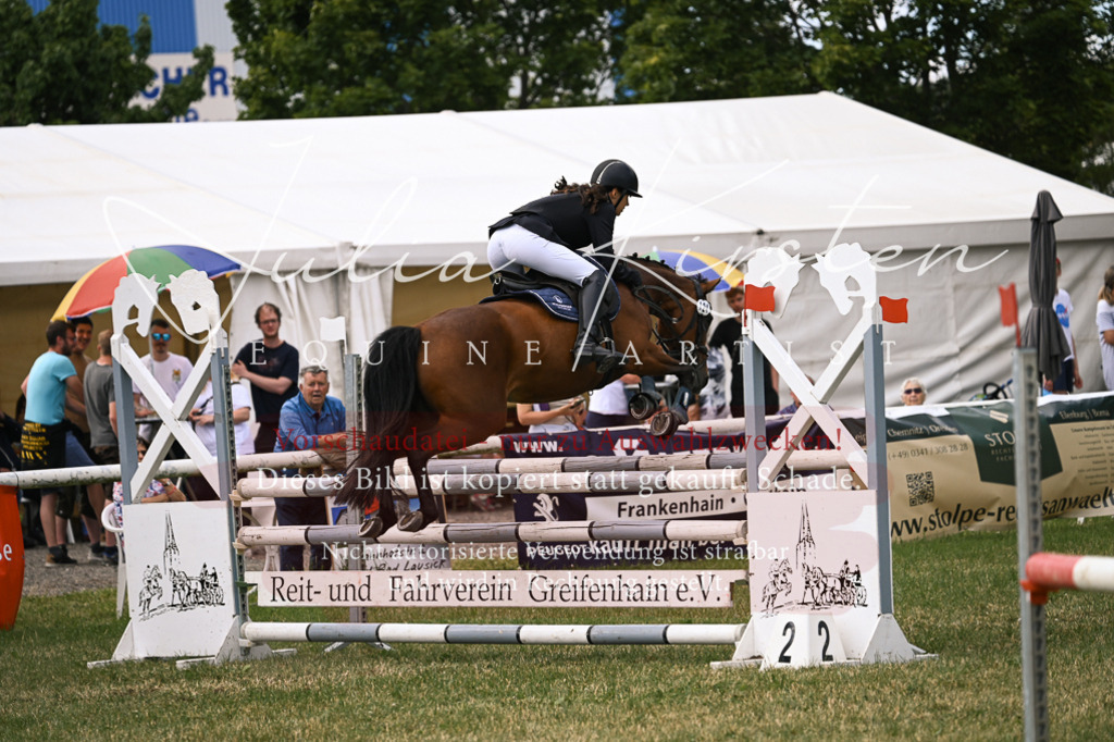 DSC_0656 | Pferde- und Turnierfotografie in Westsachsen. Pferdeportraits, Auftragszeichnungen und intuitive Kunst.