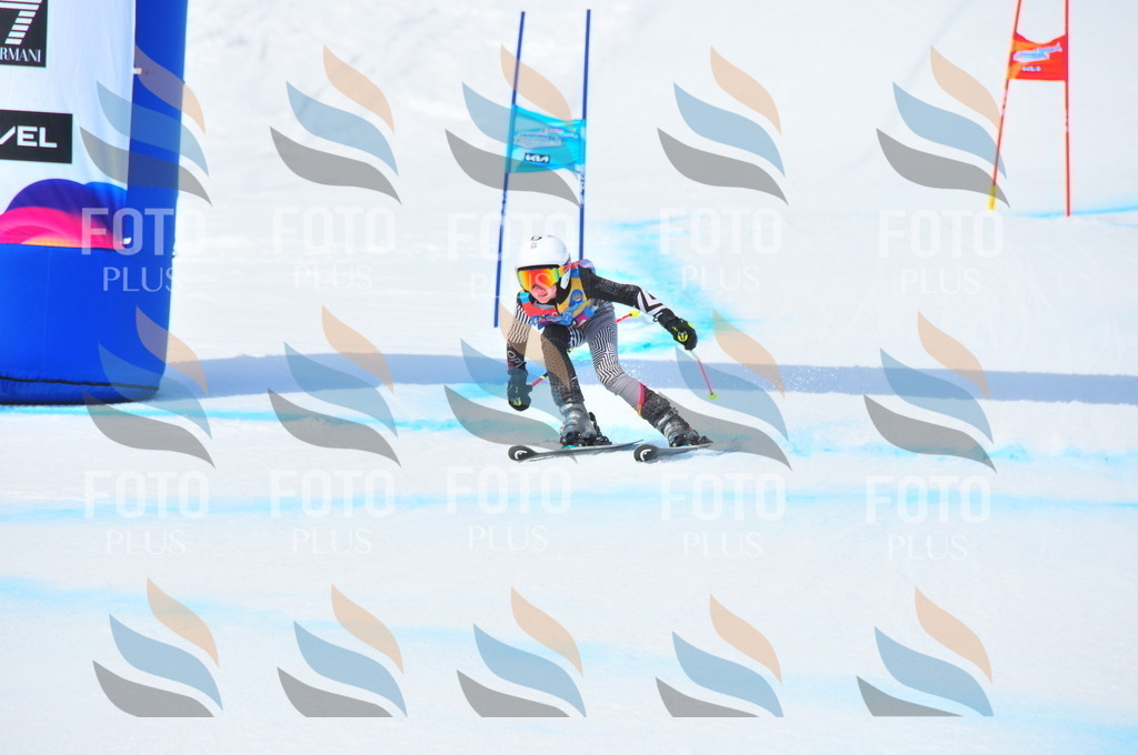 DSC_3223 | holidayphoto