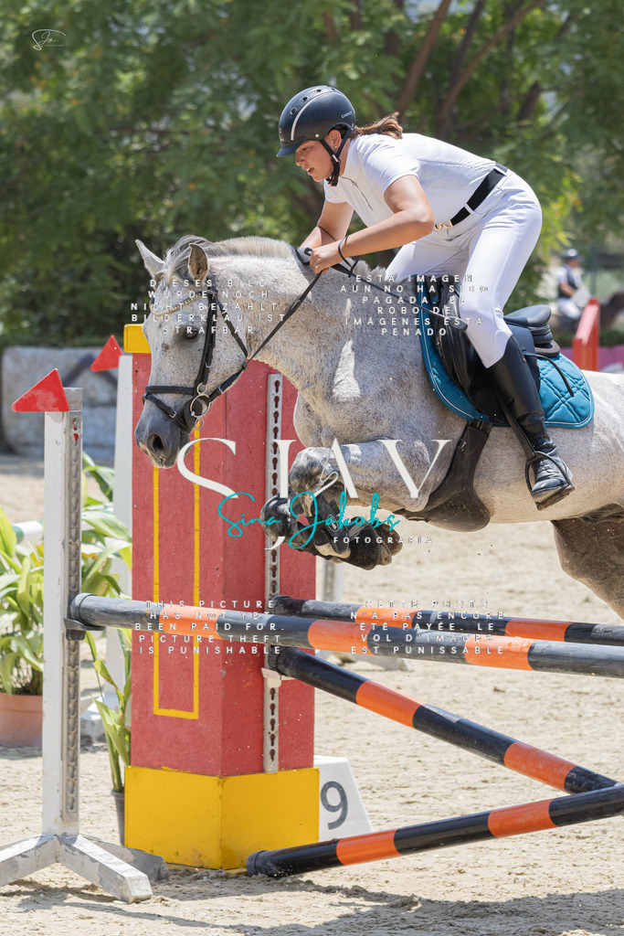 IMG_1834 | s-jay-photography - Realisiert mit Pictrs.com