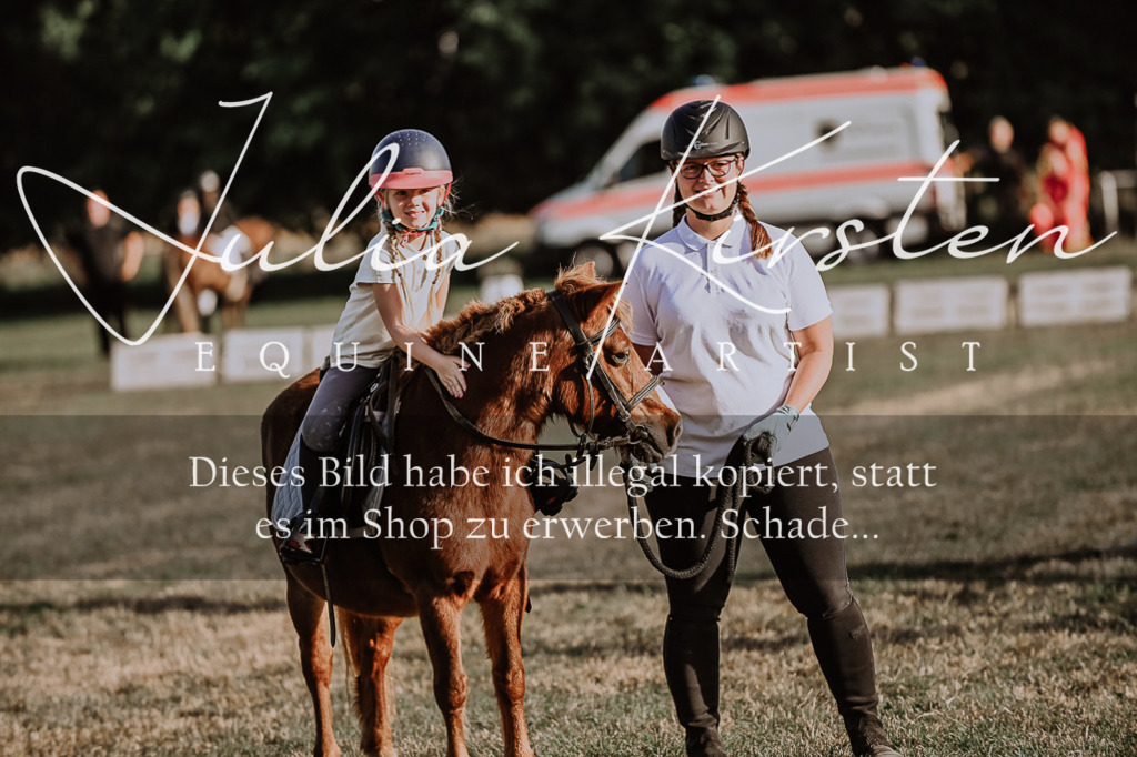 DSC_0166 | Pferde- und Turnierfotografie in Westsachsen. Pferdeportraits, Auftragszeichnungen und intuitive Kunst.