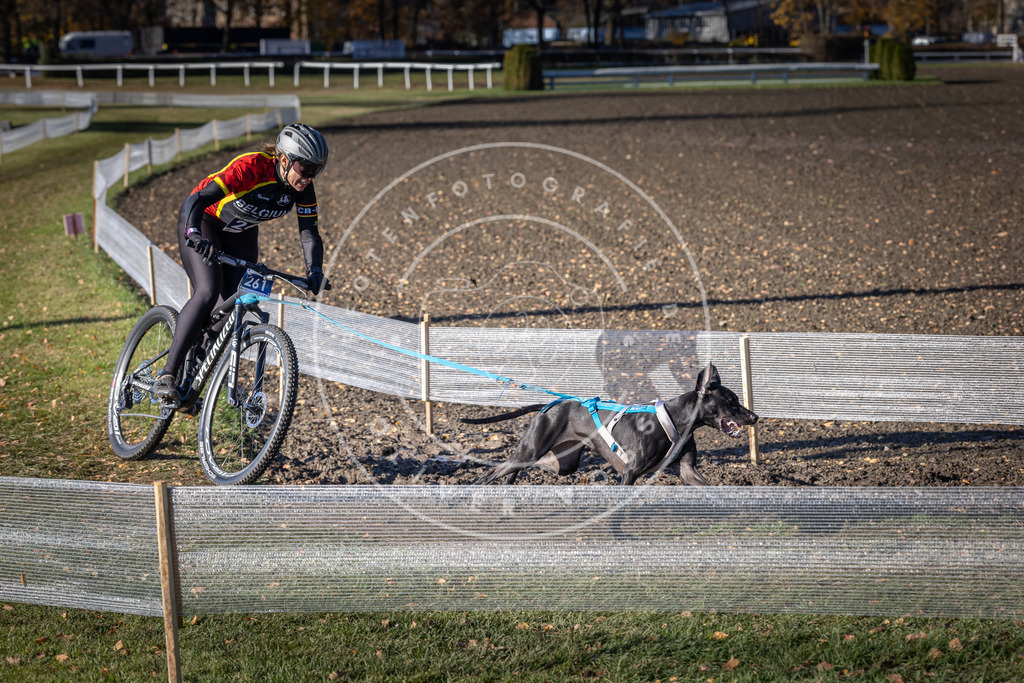 CaniXpix_DV3A4853 | Hundefotografie, Tierfotograf, Pfotenfotografie, Fotoshooting Hund, Hunde Portrait, Hundesport, Hundeportraits, Heideshooting, Hunde, Sportfotograf, Hundefotograf, Turnierhundsport, THS,  - Realisiert mit Pictrs.com