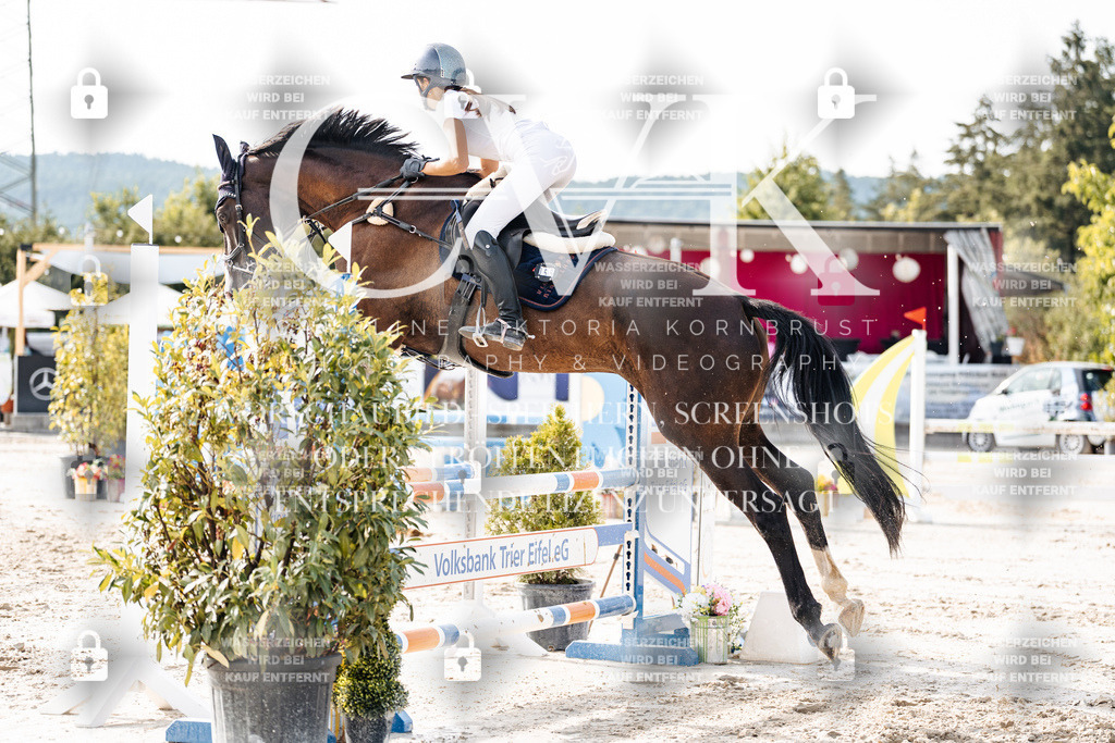CK905936 | Turnierfotografie Pferdefotografie Trier Rheinland-Pfalz Pferdesport Reitsport Tierfotografie Sportfotografie Pferdevideo Pferdevideografie Equestrianvideography equestrianphotography  - Realisiert mit Pictrs.com