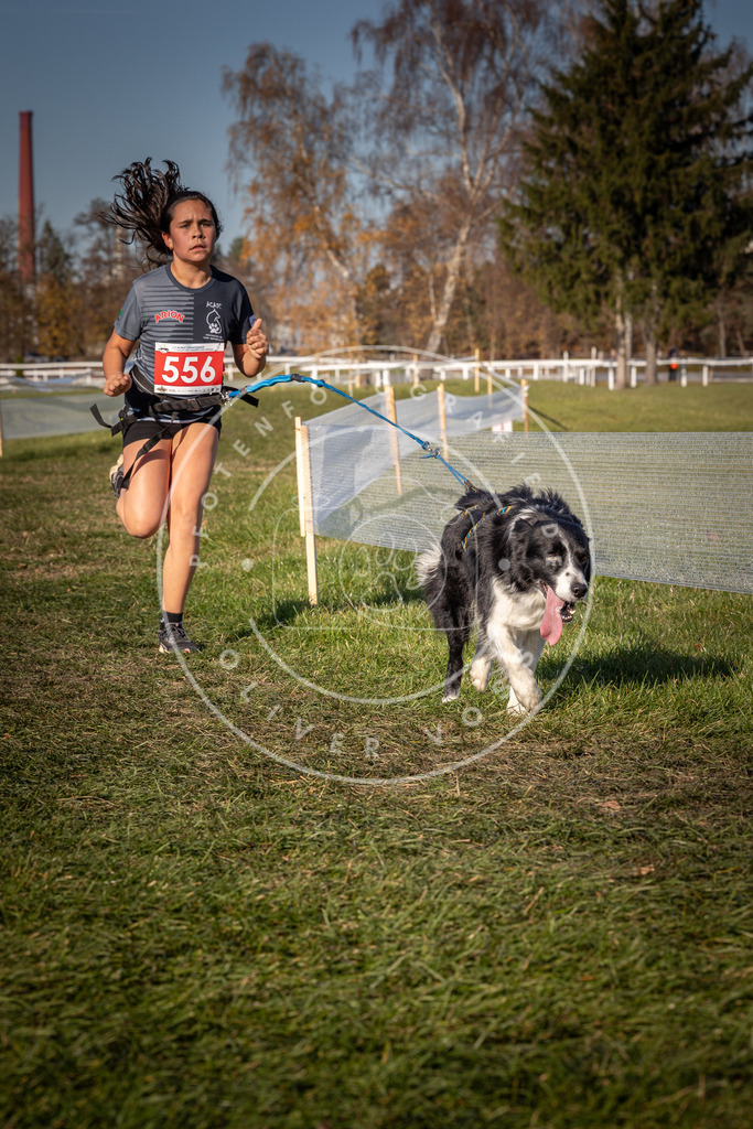 CaniXpix_0L8A7890 | Hundefotografie, Tierfotograf, Pfotenfotografie, Fotoshooting Hund, Hunde Portrait, Hundesport, Hundeportraits, Heideshooting, Hunde, Sportfotograf, Hundefotograf, Turnierhundsport, THS,  - Realisiert mit Pictrs.com
