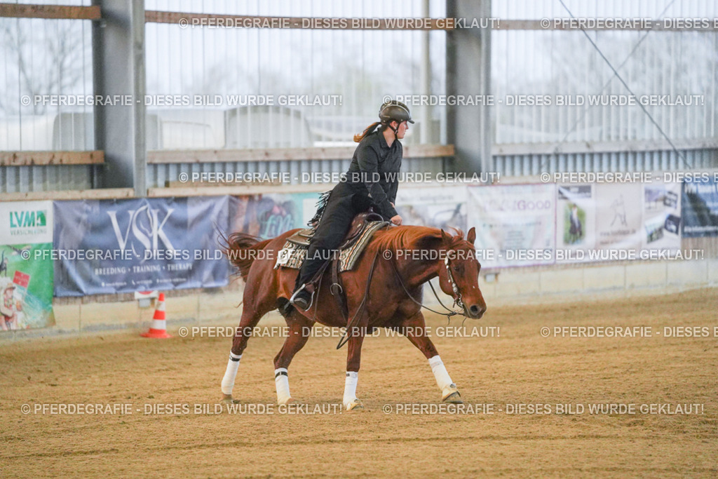 DSC09231 | Pferdegrafie