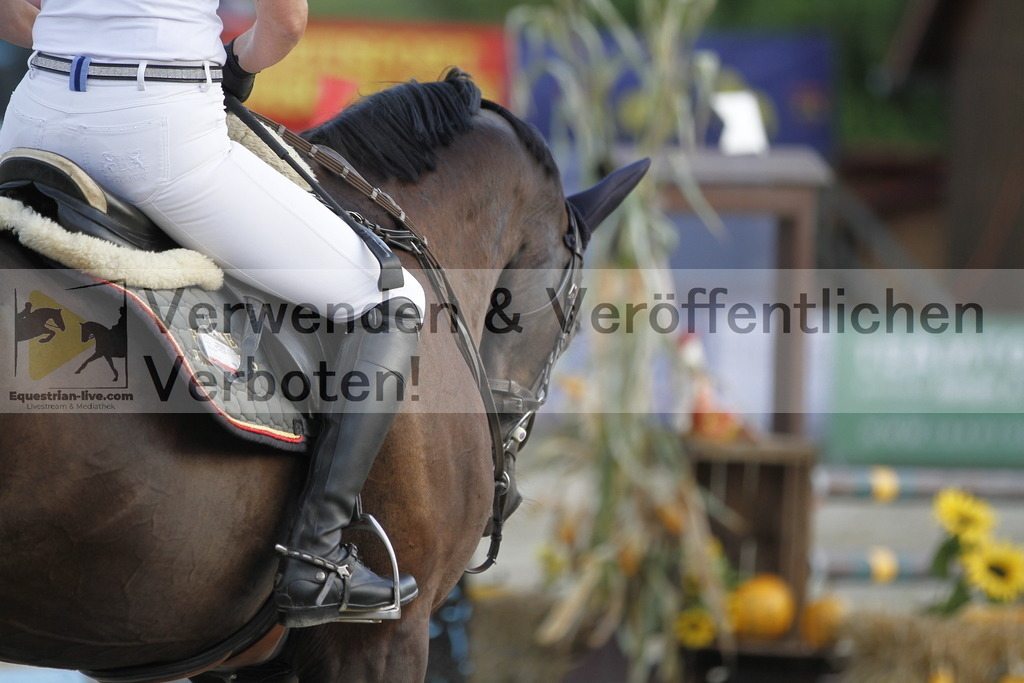 _MG_6531 | equestrian-live-com