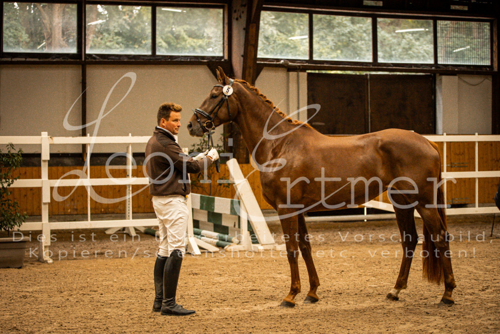 1FS_L00085 | Leoni Ertmer Photography - Realisiert mit Pictrs.com