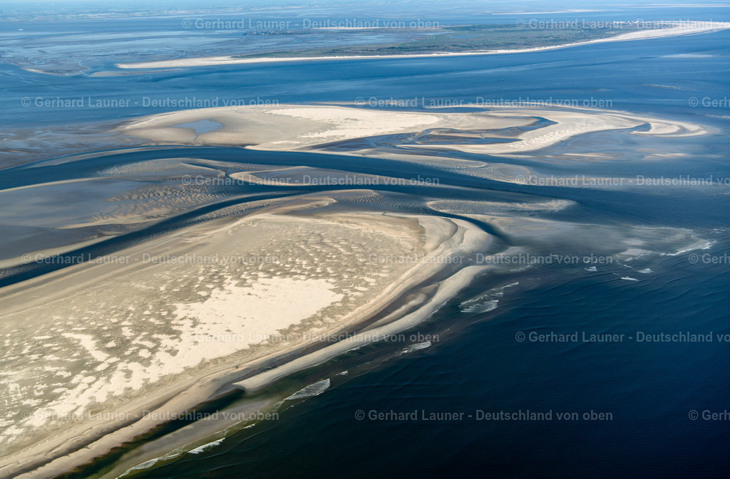 3801455 | Kachelot Plate, Nationalpark Niedersächsisches Wattenmeer