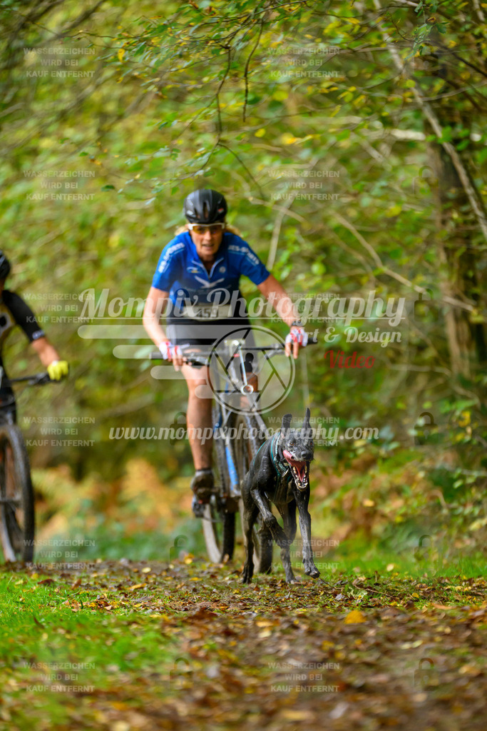 MompixPhotography_20TSB_E1_Bike-55 | PayLife