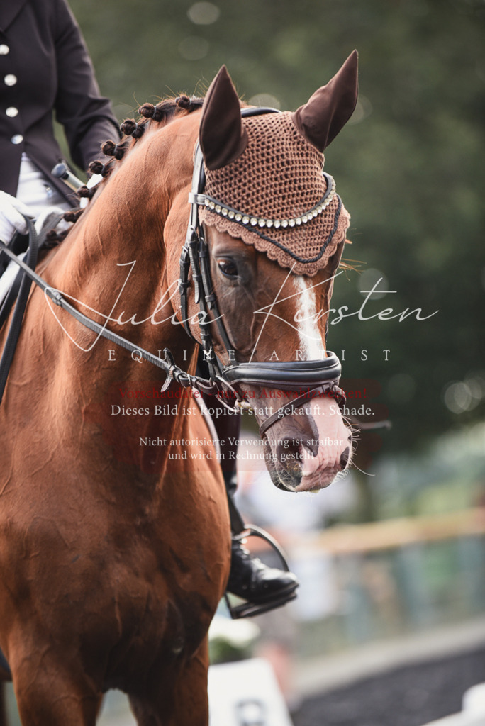 DSC_3991 | Pferde- und Turnierfotografie in Westsachsen. Pferdeportraits, Auftragszeichnungen und intuitive Kunst.