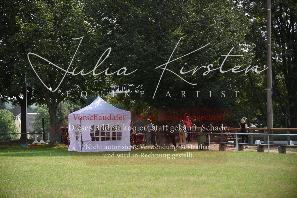 DSC_4268 | Pferde- und Turnierfotografie in Westsachsen. Pferdeportraits, Auftragszeichnungen und intuitive Kunst.