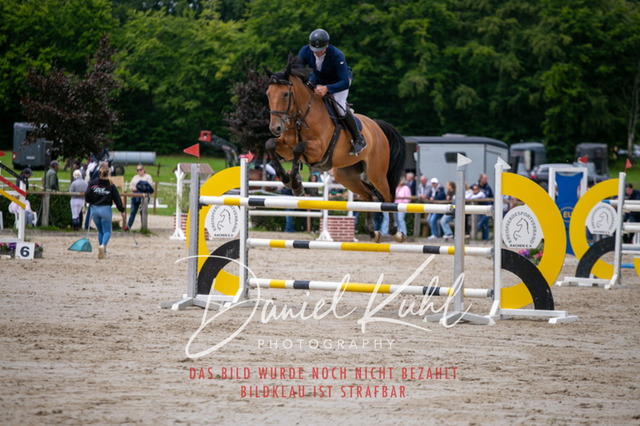 IMG_5662 | Turniersportfotografie; Pferdefotografie; Dressurfotografie