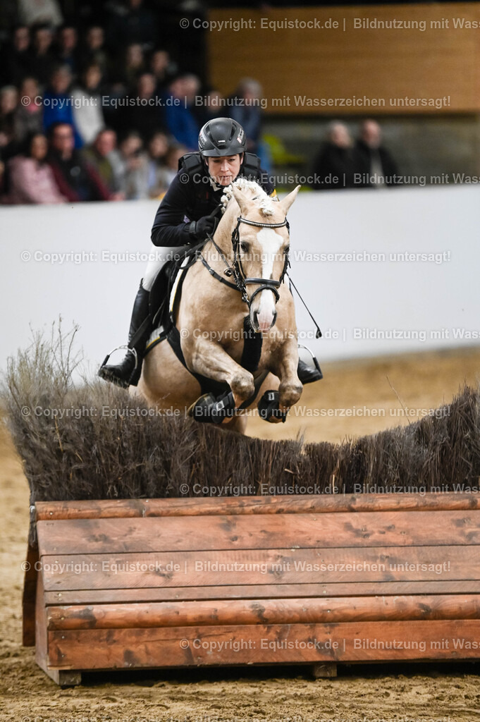 20260307_Hengstvorstellung-Marbach_0404 | equistock