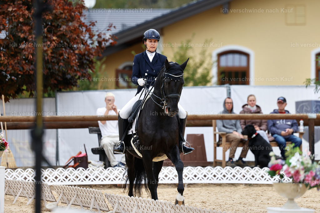 11-194-Dressur S___-StoibPH-1459 | working equitationturnier fotograf videograf stoibphotography marixx film working equitation deutschland reitsport turnierfotografie eventfotografie equestrian events