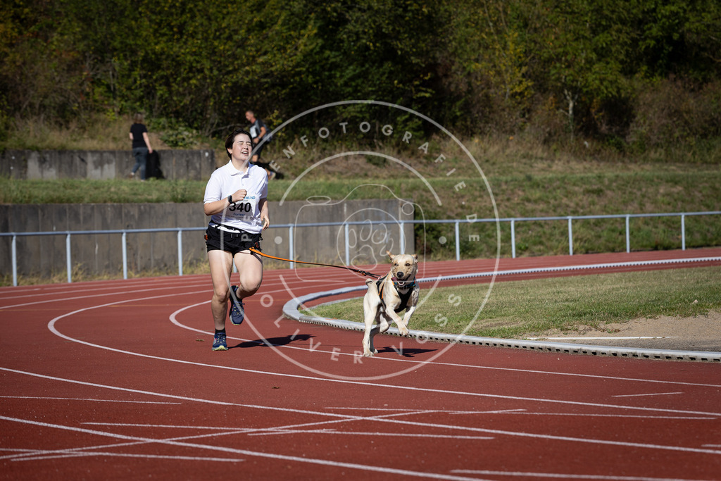 Pfotenfotografie_DV3A8279 | Hundefotografie, Tierfotograf, Pfotenfotografie, Fotoshooting Hund, Hunde Portrait, Hundesport, Hundeportraits, Heideshooting, Hunde, Sportfotograf, Hundefotograf, Turnierhundsport, THS,  - Realisiert mit Pictrs.com