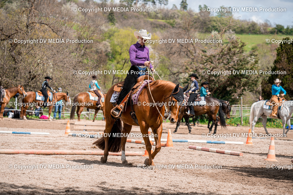 BAL02387 | dv-media-shop - Realisiert mit Pictrs.com