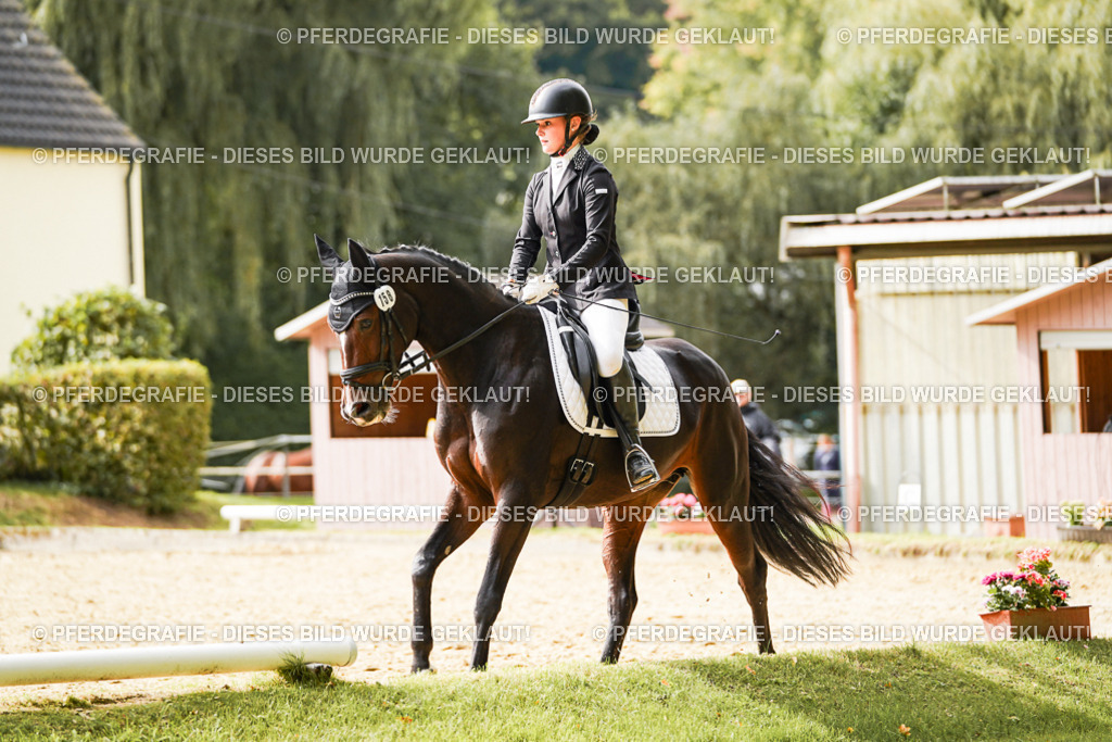 DSC00949 | Pferdegrafie