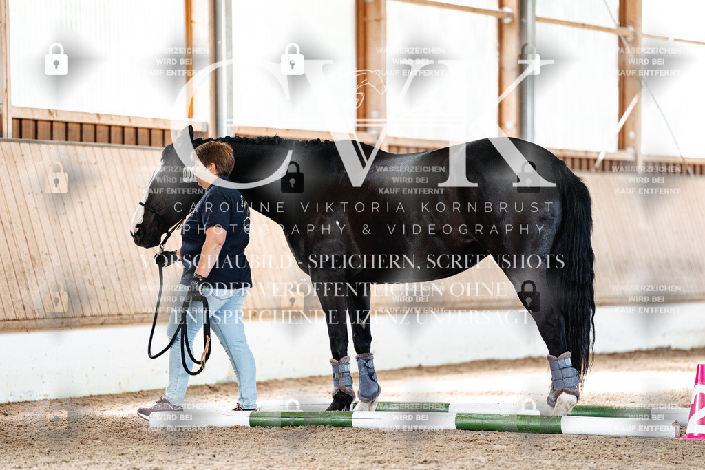 CK906221 | Turnierfotografie Pferdefotografie Trier Rheinland-Pfalz Pferdesport Reitsport Tierfotografie Sportfotografie Pferdevideo Pferdevideografie Equestrianvideography equestrianphotography  - Realisiert mit Pictrs.com