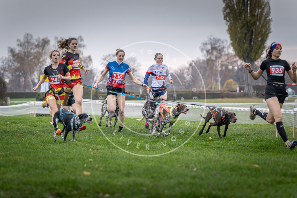 CaniXpix_DV3A7119 | Hundefotografie, Tierfotograf, Pfotenfotografie, Fotoshooting Hund, Hunde Portrait, Hundesport, Hundeportraits, Heideshooting, Hunde, Sportfotograf, Hundefotograf, Turnierhundsport, THS,  - Realisiert mit Pictrs.com