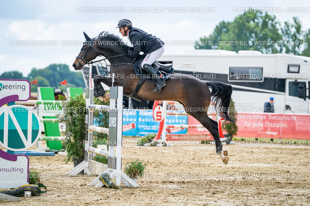 DSC06238 | Pferdegrafie