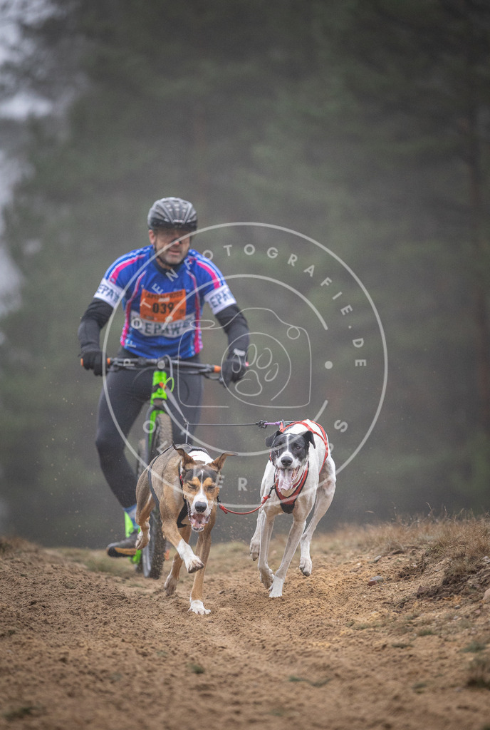 Pfotenfotografie_DV3A0873 | Hundefotografie, Tierfotograf, Pfotenfotografie, Fotoshooting Hund, Hunde Portrait, Hundesport, Hundeportraits, Heideshooting, Hunde, Sportfotograf, Hundefotograf, Turnierhundsport, THS,  - Realisiert mit Pictrs.com