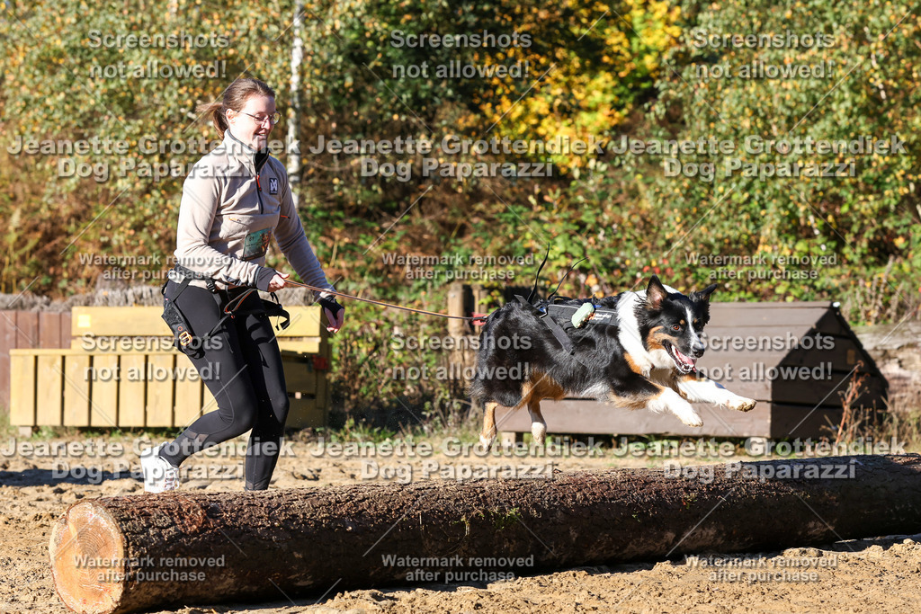 Dog Paparazzi - Strongdog 10-25-1572 | Dog Paparazzi Jeanette Grottendiek Fotografie & Videografie - Realisiert mit Pictrs.com