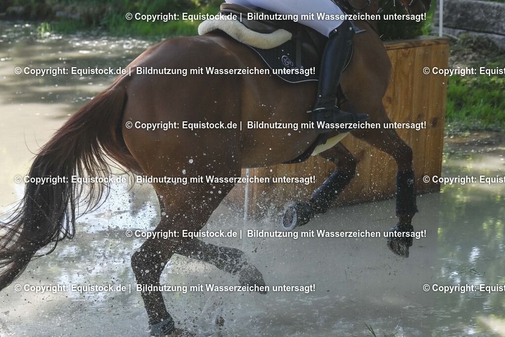 20250517_CCI2_Gelände_0712 | Foto: Thomas Hartig