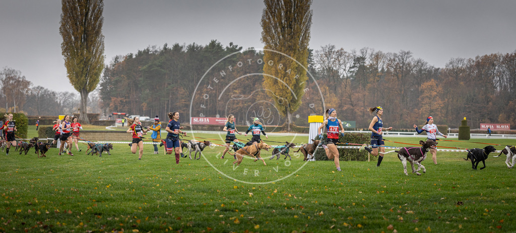 CaniXpix_DV3A8773 | Hundefotografie, Tierfotograf, Pfotenfotografie, Fotoshooting Hund, Hunde Portrait, Hundesport, Hundeportraits, Heideshooting, Hunde, Sportfotograf, Hundefotograf, Turnierhundsport, THS,  - Realisiert mit Pictrs.com