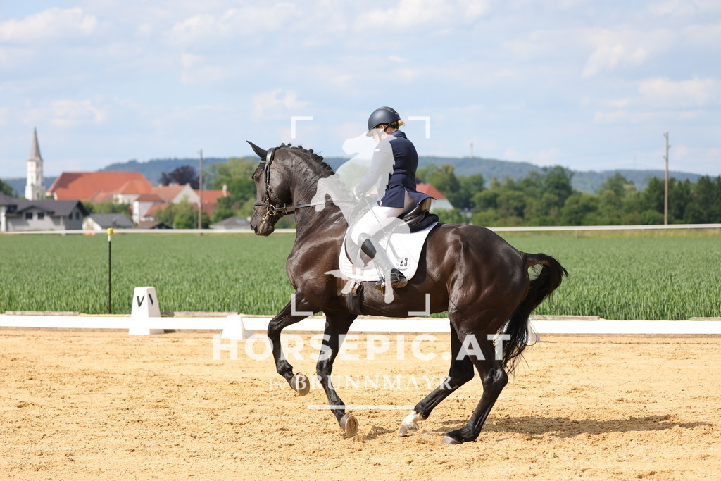 0P6A9109 | Willkommen bei Brunnmayr - Design & Fotografie – Ihrem Spezialisten für Reitturniere und Pferdeveranstaltungen in Oberösterreich, Salzburg und Bayern! Seit über 17 Jahren sind wir leidenschaftlich dabei.