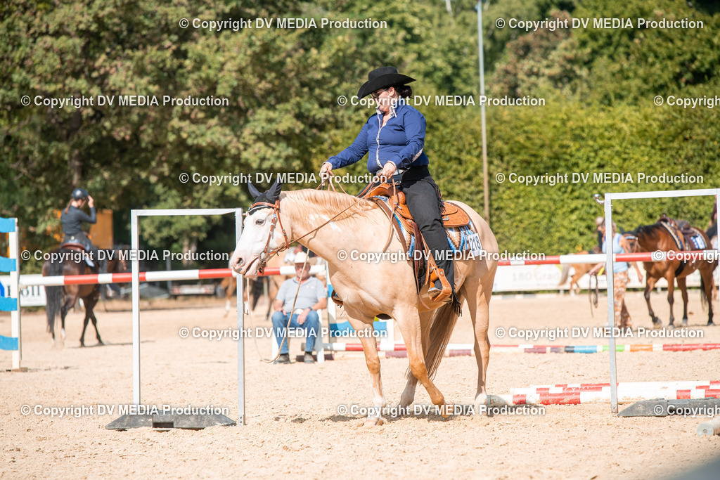 EWP_6892 | dv-media-shop - Realisiert mit Pictrs.com