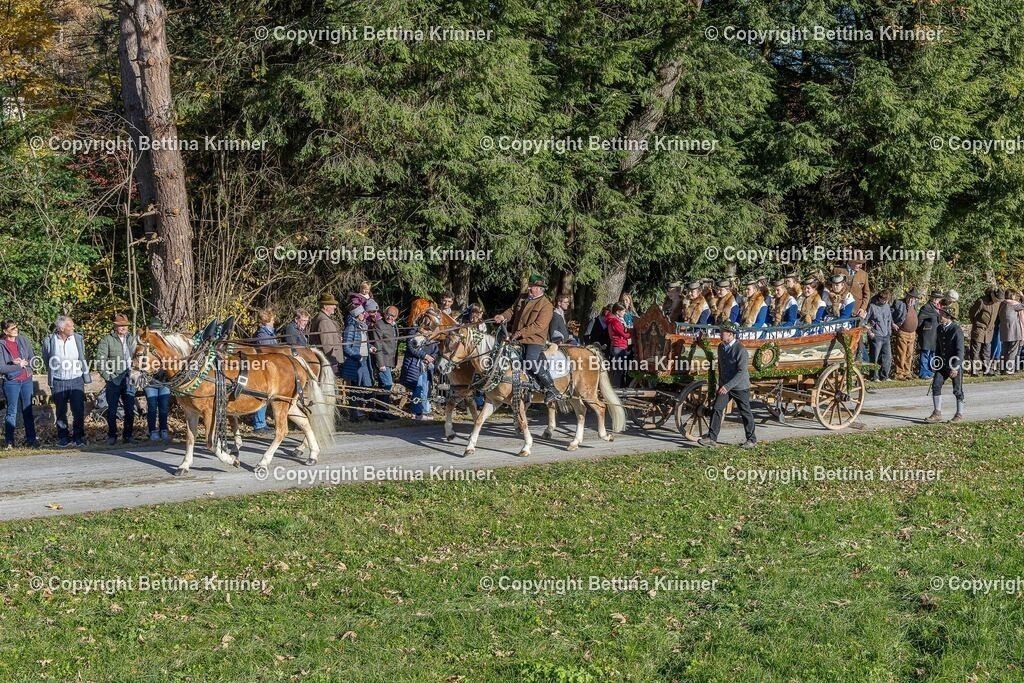 LBT25-673 | foto-bettina-krinner - Realisiert mit Pictrs.com