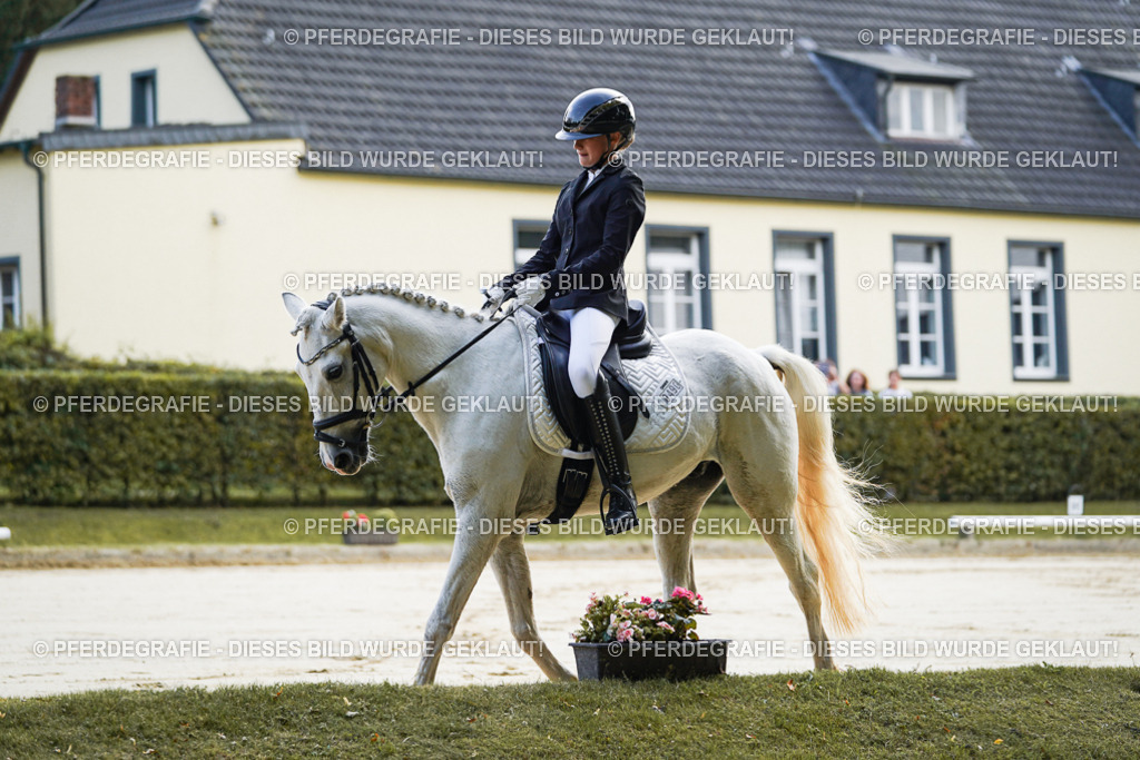 DSC05319 | Pferdegrafie