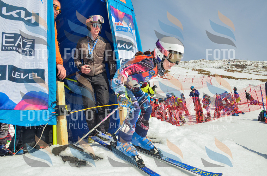 _ELE4547 | holidayphoto