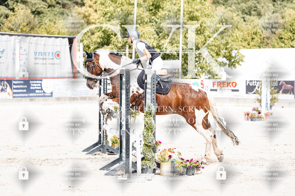 CK906748 | Turnierfotografie Pferdefotografie Trier Rheinland-Pfalz Pferdesport Reitsport Tierfotografie Sportfotografie Pferdevideo Pferdevideografie Equestrianvideography equestrianphotography  - Realisiert mit Pictrs.com
