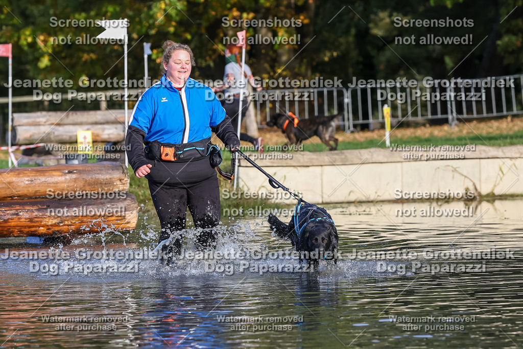 Dog Paparazzi - Strongdog 10-25-8426 | Dog Paparazzi Jeanette Grottendiek Fotografie & Videografie - Realisiert mit Pictrs.com