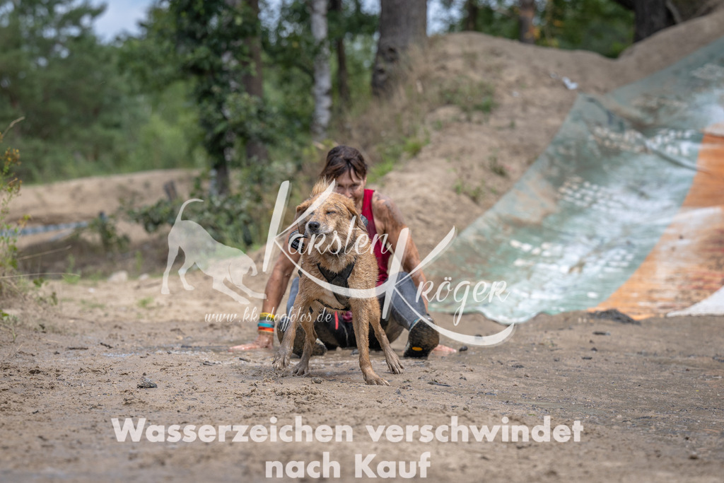 1250_ZZ94239 | kk-dogfotos