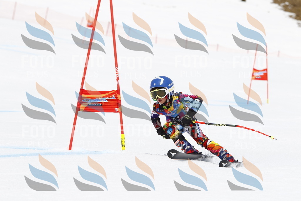 _U3G7171 | holidayphoto